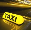 Такси в Петродворце